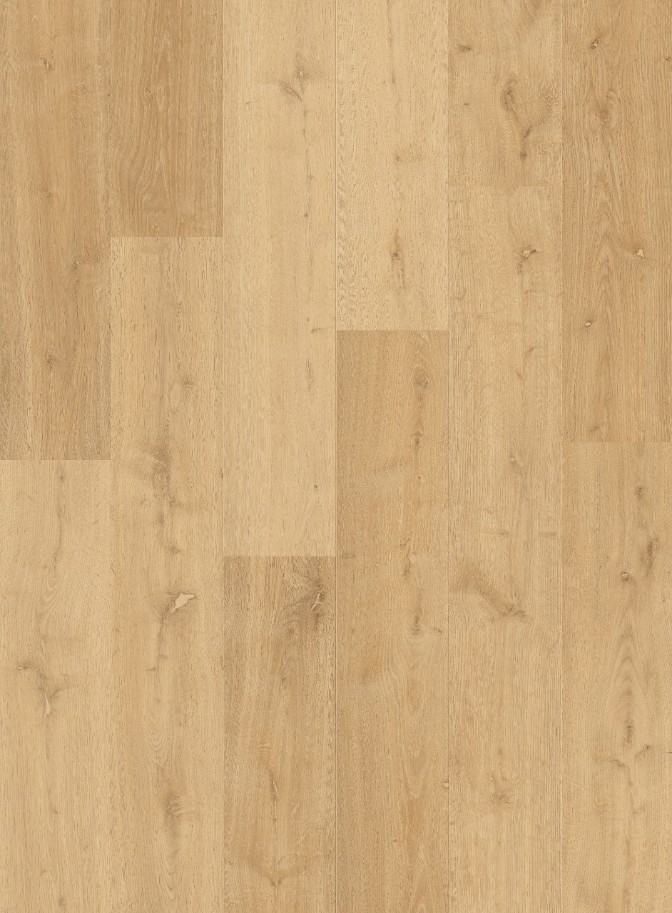 Ламинат quick step квик степ. Дуб песочный ламинат - impressive ultra  imu1853. quick step impressive дуб. квик степ дуб песочный. ламинат quick step impressive.